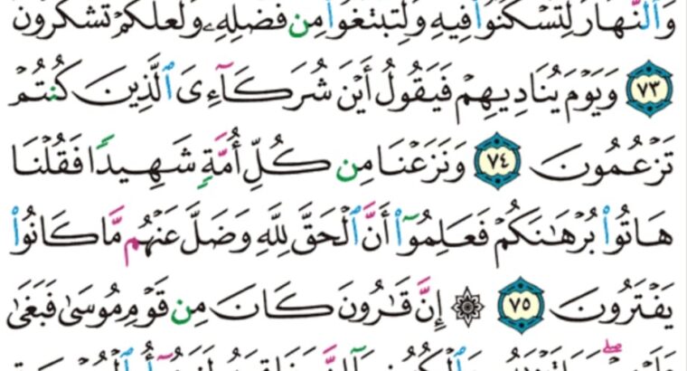 الورد اليومي سورة القصص من الاية 60 إلى الاية 77 “و ما أتيتم من شيء فمتاع الحياة الدنيا و زينتها و ما عند الله خير و أبقى”