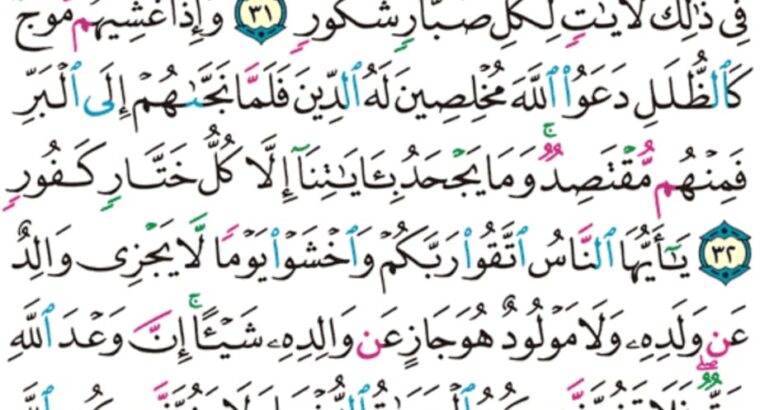 الورد اليومي سورة لقمان من الاية 29 إلى الاية 34 “ألم تر أن الله يولج الليل في النهار و يولج النهار في الليل و سخر الشمس و القمر كل يجري إلى أجل مسمّى و أن الله بما تعملون خبير”