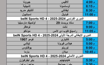 جدول مباريات كرة القدم يوم السبت 2025/11/8 م 17 جمادي الأول 1447 هجري