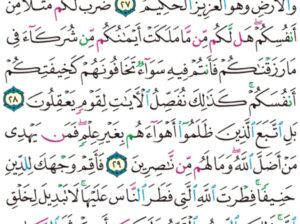 الورد اليومي سورة الروم من الاية 25 إلى الاية 32 “و من ءاياته أن تقوم السماء و الأرض بأمره ثم إذا دعاكم دعوةً من الأرض إذا أنام تخرجون”