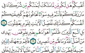 الورد اليومي سورة الروم من الاية 25 إلى الاية 32 “و من ءاياته أن تقوم السماء و الأرض بأمره ثم إذا دعاكم دعوةً من الأرض إذا أنام تخرجون”