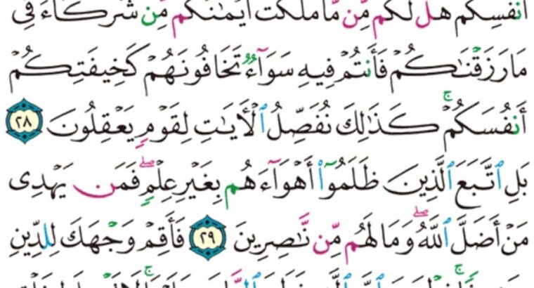 الورد اليومي سورة الروم من الاية 25 إلى الاية 32 “و من ءاياته أن تقوم السماء و الأرض بأمره ثم إذا دعاكم دعوةً من الأرض إذا أنام تخرجون”