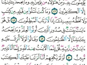 الورد اليومي سورة العنكبوت من الاية 46 إلى الاية 52 “و لا تجادلوا أهل الكتاب إلا بالتي هي أحسن إلا اللذين ظلموا منهم و قولوا ءامنا بالذي أنزل إلينا و أنزل إليكم و إلاهنا و إلاهكم”
