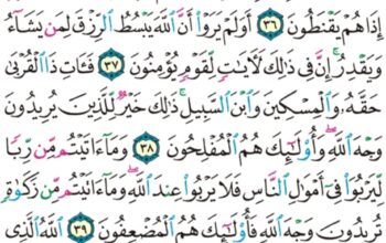 الورد اليومي سورة الروم من الاية 33 إلى الاية 41 “و إذا مس الناس ضر دعوا ربهم منيبين إليه ثم إذا أذاقهم منه رحمة إذا فريق منهم بربهم يشركون”