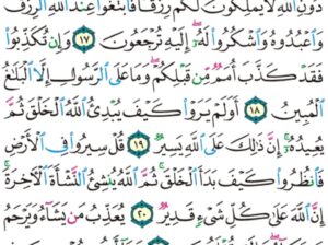 الورد اليومي سورة العنكبوت من الاية 15 إلى الاية 23 “فأنجيناه و أصحاب السفينة و جعلناها ءاية للعالمين”