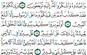 الورد اليومي سورة العنكبوت من الاية 15 إلى الاية 23 “فأنجيناه و أصحاب السفينة و جعلناها ءاية للعالمين”