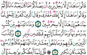 الورد اليومي سورة سبأ من الاية 40 إلى الاية 48 ” و يوم يحشرهم جميعاً ثم يقول للملائكة أهؤلاء إياكم كانوا يعبدون