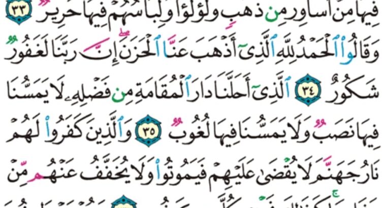 الورد اليومي سورة فاطر من الاية 19 إلى الاية 38 “و ما يستوي الأعمى و البصير و لا الظلمات و لا النور و لا الظل و لا الحرور”