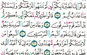 الورد اليومي سورة يس من الاية 13 إلى الاية 27 “و اضرب لهم مثلاً أصحاب القرية إذ جاءها المرسلون إذ أرسلنا إليهم اثنين فكذبوهما فعززنا بثالث فقالوا إنا إليكم مرسلون”