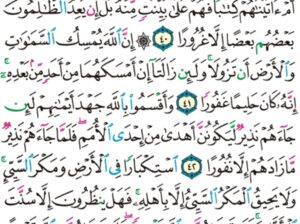 الورد اليومي سورة فاطر من الاية 39 إلى الاية 44 “هو الذي جعلكم خلائف في الأرض فمن كفر فعليه كفره و لا يزيد الكافرين كفرهم إلا خسارة “