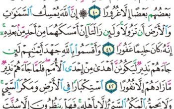 الورد اليومي سورة فاطر من الاية 39 إلى الاية 44 “هو الذي جعلكم خلائف في الأرض فمن كفر فعليه كفره و لا يزيد الكافرين كفرهم إلا خسارة “