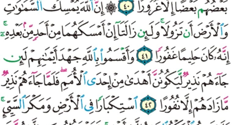 الورد اليومي سورة فاطر من الاية 39 إلى الاية 44 “هو الذي جعلكم خلائف في الأرض فمن كفر فعليه كفره و لا يزيد الكافرين كفرهم إلا خسارة “