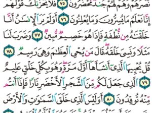 الورد اليومي سورة يس من الاية 71 إلى الاية 83 “أولم يروا أنا خلقنا لهم مما عملت أيدينا أنعاما فهم لها مالكون “