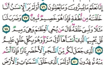 الورد اليومي سورة يس من الاية 71 إلى الاية 83 “أولم يروا أنا خلقنا لهم مما عملت أيدينا أنعاما فهم لها مالكون “