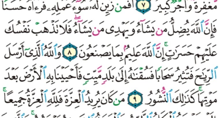 الورد اليومي سورة فاطر من الاية 4 إلى الاية 11 “و إن كذبوك فقد كذبت رسل من قبلك و إلى الله ترجع الأمور”