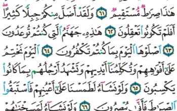 الورد اليومي سورة يس من الاية 55 إلى الاية 70 “إن أصحاب الجنة اليوم في شغل فاكهون