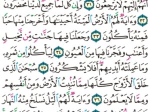الورد اليومي سورة يس من الاية 28 إلى الاية 40 “و ما أنزلنا على قومه من بعده من جند من السماء و ما كنا منزلين”