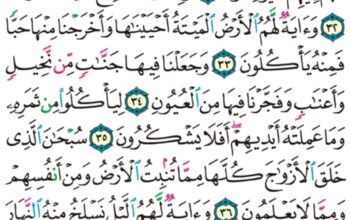 الورد اليومي سورة يس من الاية 28 إلى الاية 40 “و ما أنزلنا على قومه من بعده من جند من السماء و ما كنا منزلين”