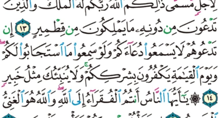 الورد اليومي سورة فاطر من الاية 12 إلى الاية 18 “و ما يستوي البحران هذا عذب فرات سائغ شرابه و هذا ملح أجاج و من كل تأكلون لحماً طرياً و تستخرجون حلية تلبسونها و ترى الفلك “