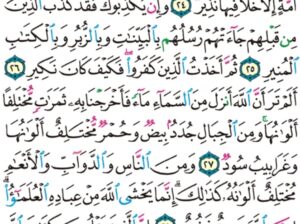 الورد اليومي سورة فاطر من الاية 19 إلى الاية 38 “و ما يستوي الأعمى و البصير و لا الظلمات و لا النور و لا الظل و لا الحرور”
