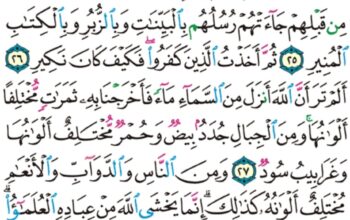 الورد اليومي سورة فاطر من الاية 19 إلى الاية 38 “و ما يستوي الأعمى و البصير و لا الظلمات و لا النور و لا الظل و لا الحرور”