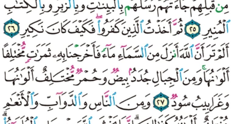 الورد اليومي سورة فاطر من الاية 19 إلى الاية 38 “و ما يستوي الأعمى و البصير و لا الظلمات و لا النور و لا الظل و لا الحرور”