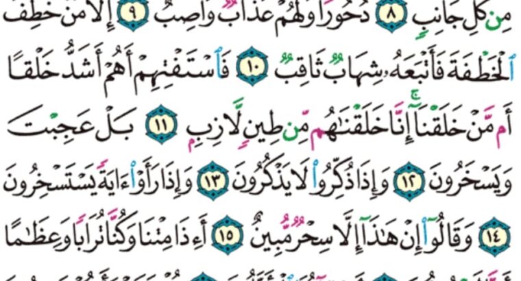 الورد اليومي سورة الصافات من الاية 1 إلى الاية 24 “و الصافات صفاً فالزاجرات زجراً فالتاليت ذكراً إن إلاهكم لواحد رب السماوات و الأرض و ما بينهما رب المشارق”