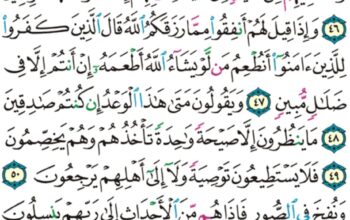 الورد اليومي سورة يس من الاية 41 إلى الاية 54 “و ءاية لهم أنا حملنا ذريتهم في الفلك المشحون”