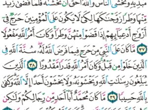 الورد اليومي سورة الأحزاب من الاية 36 إلى الاية 43 “و ما كان لمؤمن و لا مؤمنة إذا قضى الله و رسوله أمراً أن يكون لهم الخيرة من أمرهم و من يعص الله و رسوله فقد ضل ضلالاً مبيناً”
