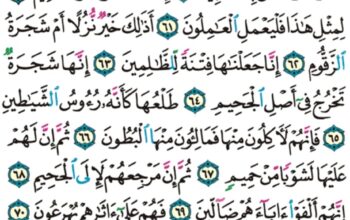 الورد اليومي سورة الصافات من الاية 53 إلى الاية 76 “يقول أءنك لمن المصدقين أء إذا متنا و كنا تراباً و عظاماً أءنا لمدينون قال هل أنتم مطلعون”