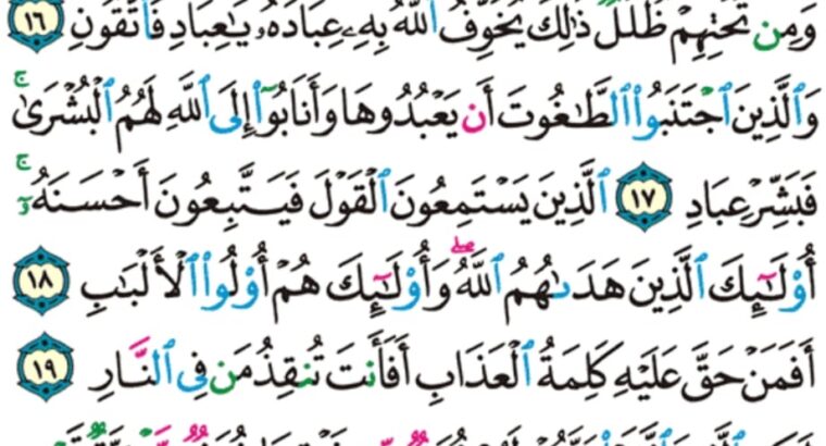 الورد اليومي سورة الزمر من الاية 6 الاية 21 “قل إني أمرت أن أعبد الله مخلصاً له الدين و أمرت لأن أكون أول المسلمين”