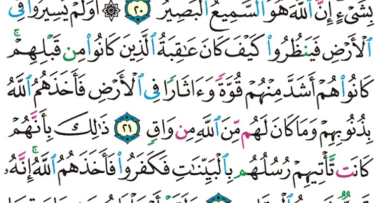 الورد اليومي سورة غافر من الاية 17 الاية 25 “اليوم تجزى كل نفس بما كسبت لا ظلم اليوم إن الله سريع الحساب”