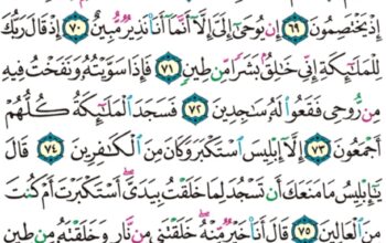 الورد اليومي سورة ص من الاية 62 الاية 83 ” و قالوا ما لنا لا نرى رجالاً كنا نعدهم من الأشرار أتخذناهم سخرياً أم زاغت عنهم الأبصار “