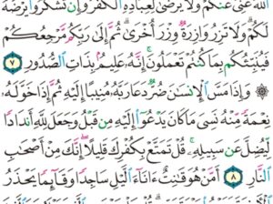 الورد اليومي سورة الزمر من الاية 6 الاية 21 “قل إني أمرت أن أعبد الله مخلصاً له الدين و أمرت لأن أكون أول المسلمين”