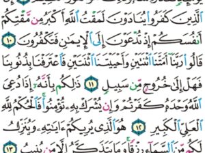 الورد اليومي سورة غافر من الاية 8 الاية 16 “ربنا و أدخلهم جنات عدن التي وعدتهم و من صلح من أبائهم و أزواجهم و ذرياتهم إنك أنت العزيز الحكيم”