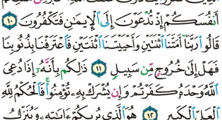 الورد اليومي سورة غافر من الاية 8 الاية 16 “ربنا و أدخلهم جنات عدن التي وعدتهم و من صلح من أبائهم و أزواجهم و ذرياتهم إنك أنت العزيز الحكيم”