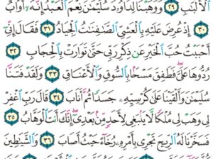 الورد اليومي سورة ص من الاية 27 الاية 42 ” و ما خلقنا السماء و الأرض و ما بينهما باطلاً ذلك ظن اللذين كفروا فويل للذين كفروا من النار”