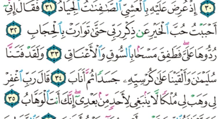 الورد اليومي سورة ص من الاية 27 الاية 42 ” و ما خلقنا السماء و الأرض و ما بينهما باطلاً ذلك ظن اللذين كفروا فويل للذين كفروا من النار”