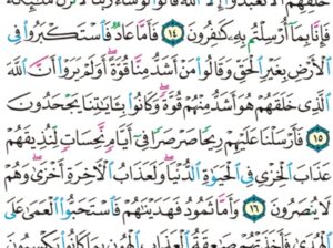 الورد اليومي سورة فصلت من الاية 12 الاية 20 “فقضاهن سبع سماوات في يومين و أوحى في كل سماء أمرها و زينا السماء الدنيا بمصابيح و حفظاً ذلك تقدير العزيز العليم”