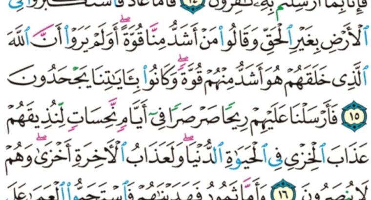 الورد اليومي سورة فصلت من الاية 12 الاية 20 “فقضاهن سبع سماوات في يومين و أوحى في كل سماء أمرها و زينا السماء الدنيا بمصابيح و حفظاً ذلك تقدير العزيز العليم”