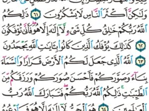 الورد اليومي سورة غافر من الاية 59 الاية 66 “إن الساعة لأتية لا ريب فيها و لكن أكثر الناس لا يؤمنون”