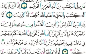 الورد اليومي سورة الزمر من الاية 1 الاية 5 ” تنزيل الكتاب من الله العزيز الحكيم إنا أنزلنا إليك الكتاب بالحق فاعبد الله مخلصاً له الدين”