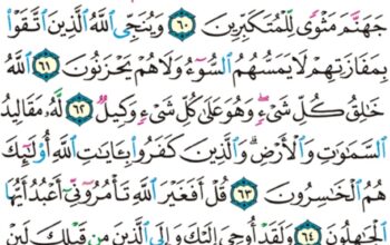 الورد اليومي سورة الزمر من الاية 48 الاية 56 “أو تقول لو أن الله هداني لكنت من المتقين”