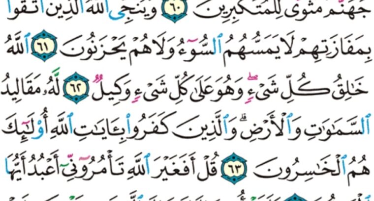الورد اليومي سورة الزمر من الاية 48 الاية 56 “أو تقول لو أن الله هداني لكنت من المتقين”
