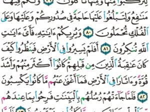 الورد اليومي سورة غافر من الاية 78 الاية 95 “و لقد أرسلنا رسلاً من قبلك منهم من قصصنا عليك و منهم من لم نقصص عليك و ما كان لرسول أن يأتي بأية إلا بإذن الله فإذا جاء أمر الله قضي”