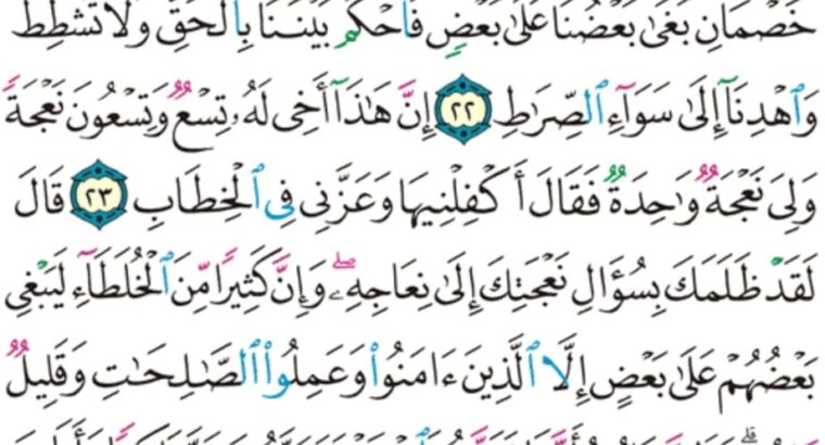 الورد اليومي سورة ص من الاية 17 الاية 26 ” اصبر على ما يقولون و اذكر عبدنا داود ذا الأيدي إنه أواب”