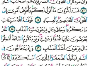 الورد اليومي سورة غافر من الاية 41 الاية 49 “و يا قوم مالي أدعوكم إلى النجاة و تدعونني إلى النار .”